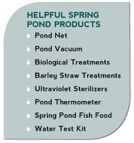 Helpful Spring Pond Products